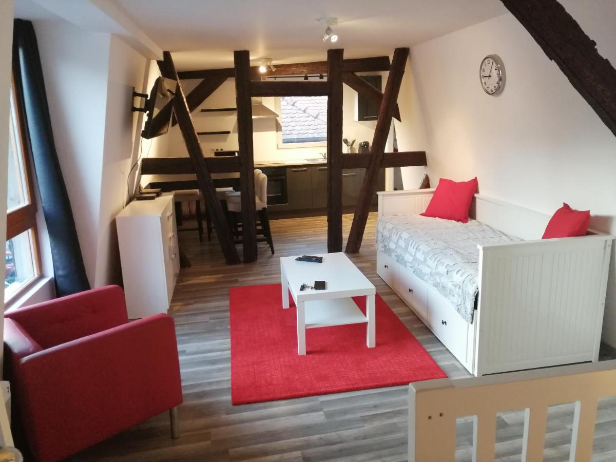 Magnifique Gite Plein Centre De Selestat Bagian luar foto