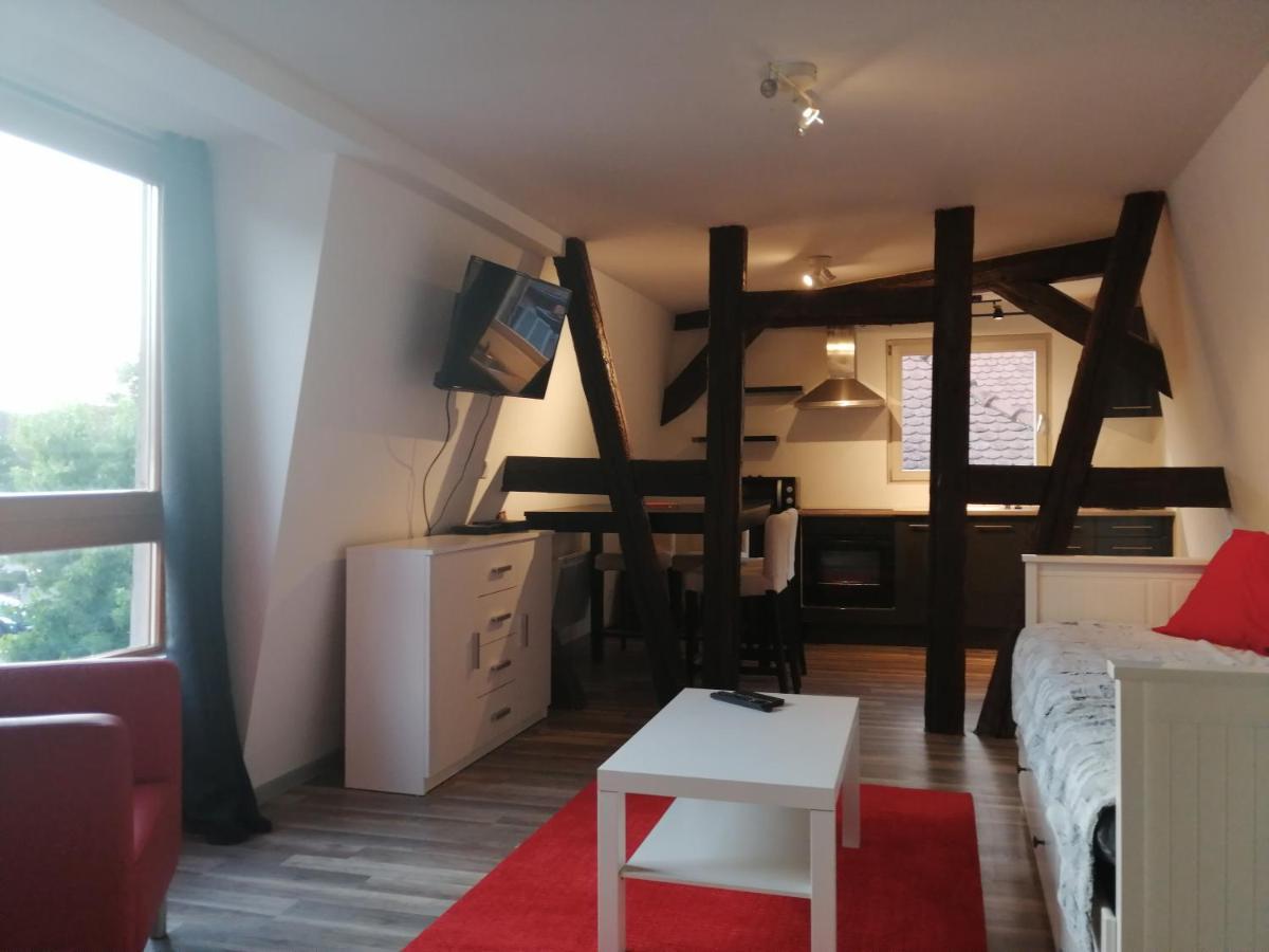 Magnifique Gite Plein Centre De Selestat Bagian luar foto