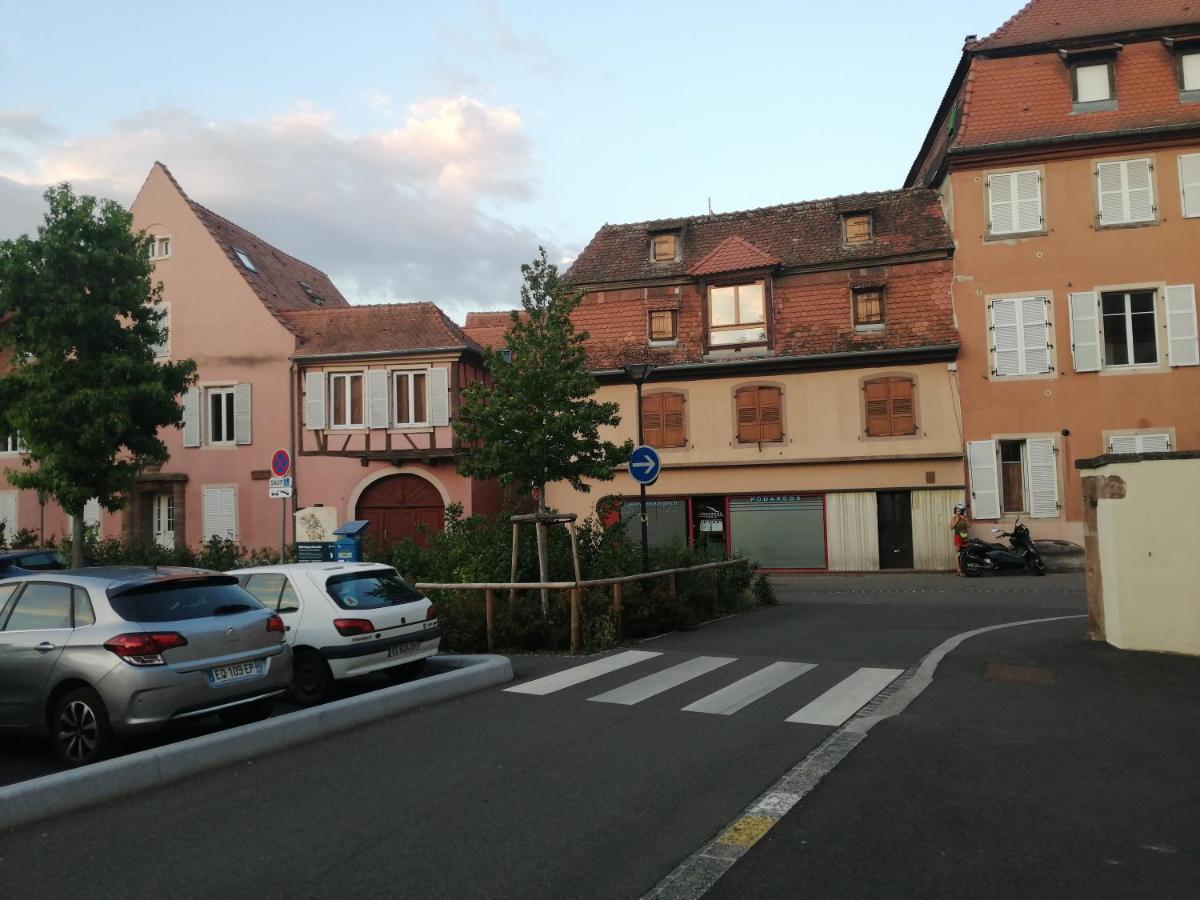 Magnifique Gite Plein Centre De Selestat Bagian luar foto