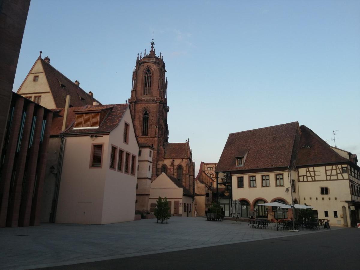 Magnifique Gite Plein Centre De Selestat Bagian luar foto